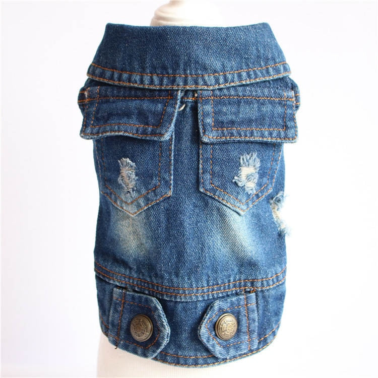 Denim bunda pro psy