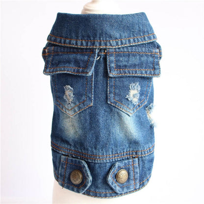 Denim bunda pro psy