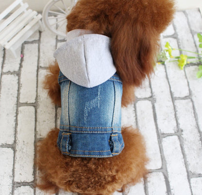 Denim bunda pro psy