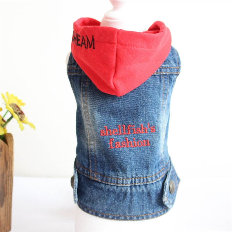 Denim bunda pro psy
