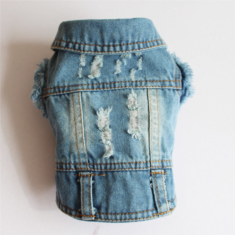 Denim bunda pro psy