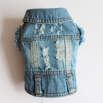 Denim bunda pro psy