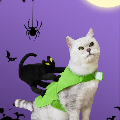 Kostým pro kočky na Halloween
