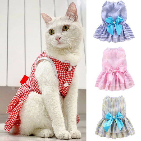 Roztomilé šaty pro kočky