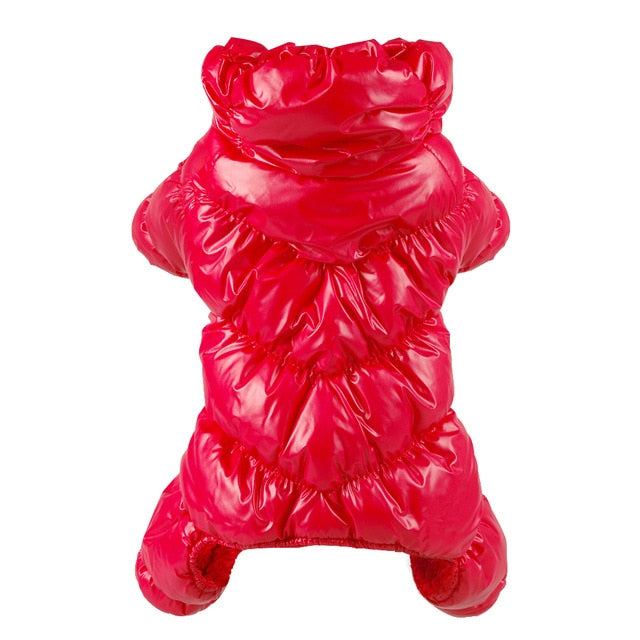 Lesklá bunda pro psy s kapucí