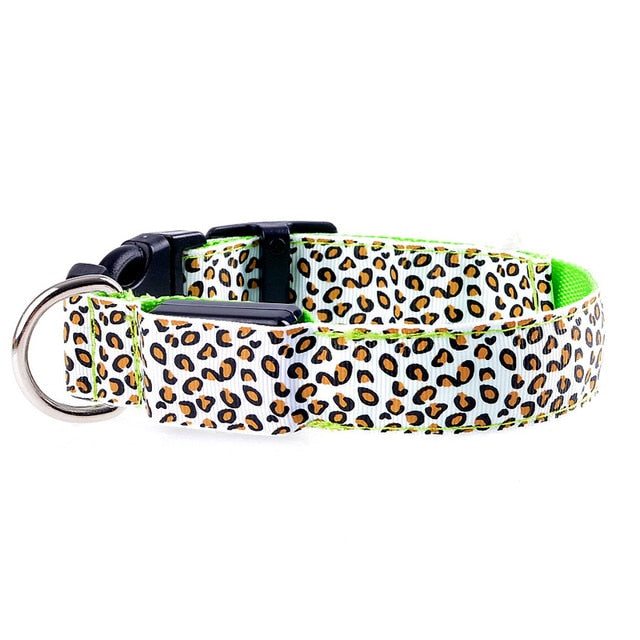 Svítící leopardí obojek