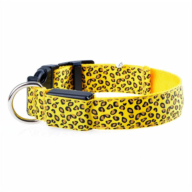 Svítící leopardí obojek