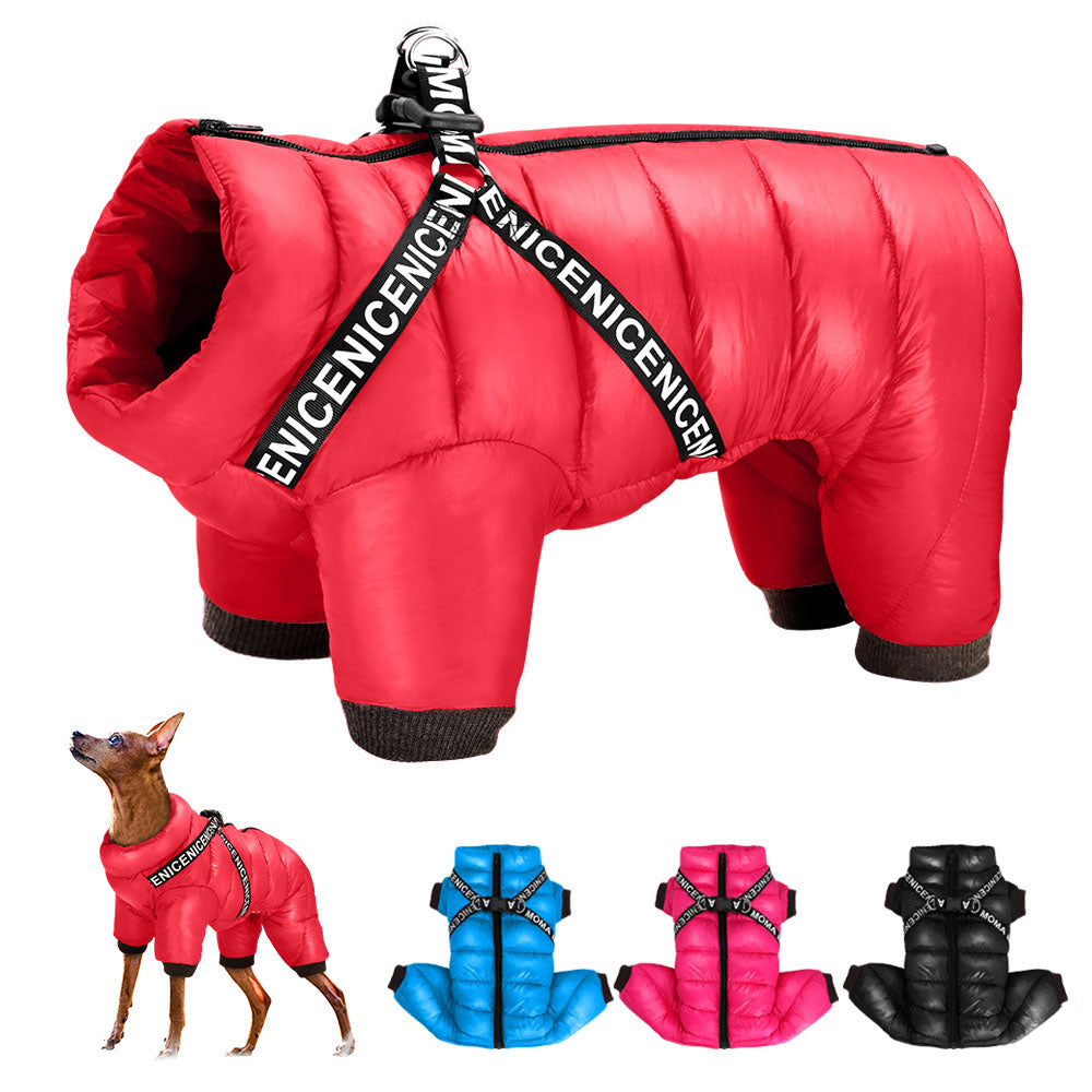 Teplá bunda pro psy