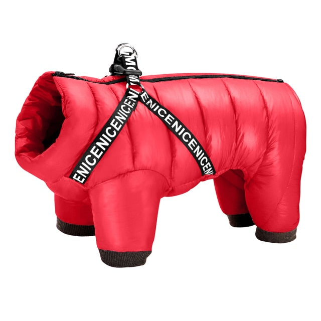 Teplá bunda pro psy
