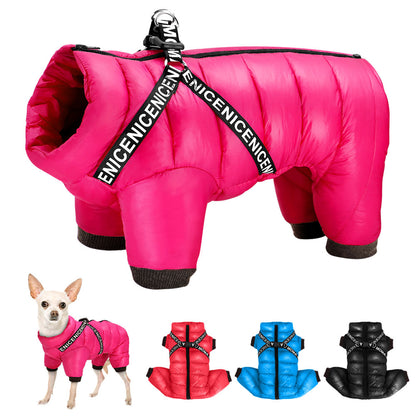 Teplá bunda pro psy