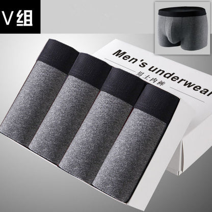 Set jednoduchých pánských boxerek 4 ks